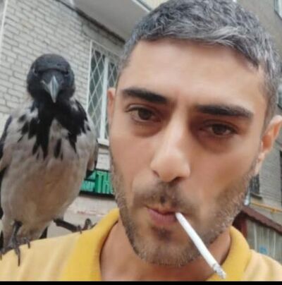  ,   , 41 ,   ,   