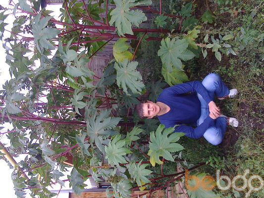 ���������� ��������, ���� ������� ����, 41 ���, ������������ ��� ������