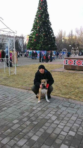   ,   Nik, 52 ,   ,   , c 