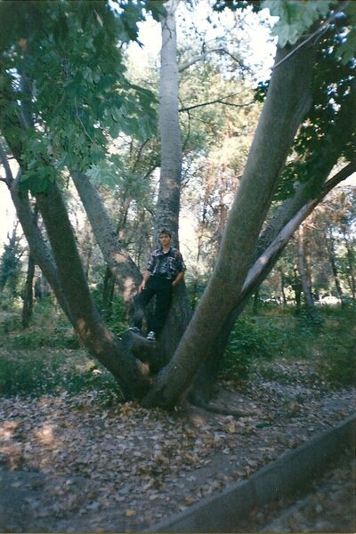  -,   , 55 ,   ,   , c , 