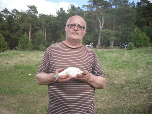  ,   , 62 ,   