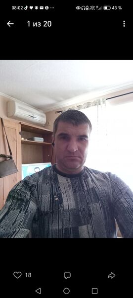  -,   Alexander, 44 ,   ,   