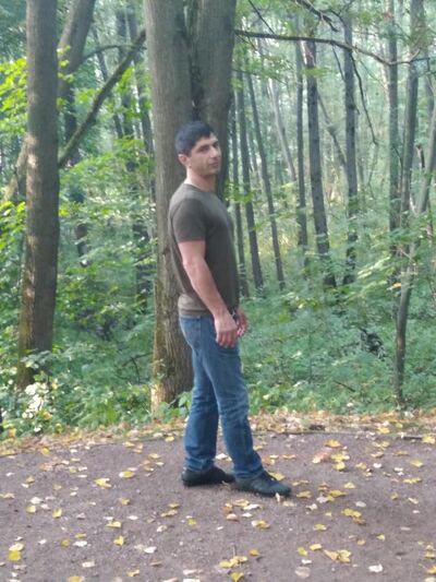  ,   , 41 ,   ,   