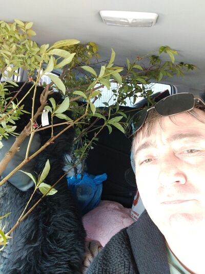  ,   , 43 ,   ,   