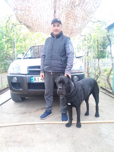  ,   , 46 ,   ,   
