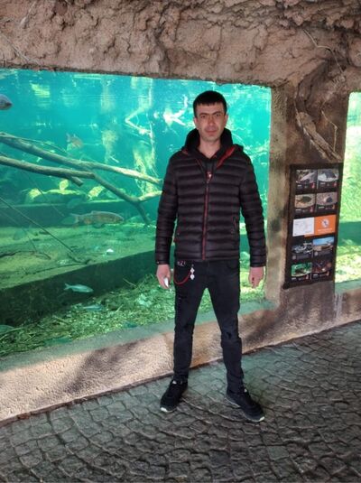  ,   Vasyl, 36 ,   ,   , c 