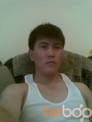  ,   Asyl, 41 ,   