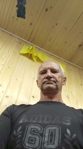  ,   , 51 ,   ,   , 