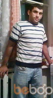  ,   GOGA, 41 ,   