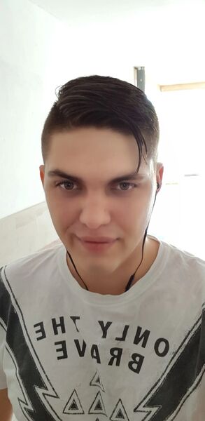  Dolphin,   , 31 ,   ,   