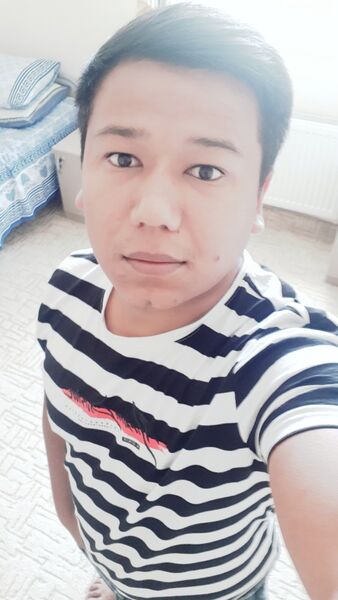  ,   Andy Panda, 31 ,   ,   , c 