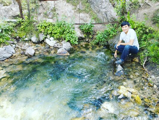  ,   Ali, 31 ,   ,   
