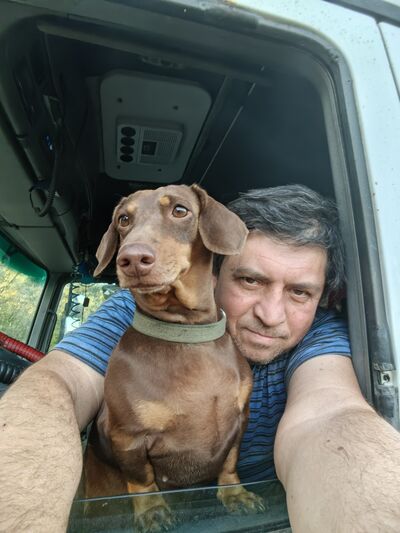  --,   , 52 ,   ,   , c 