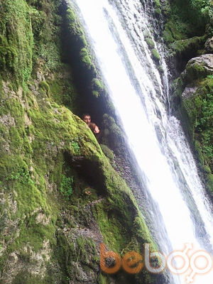 ���������� ����, ���� ������� Vvv, 36 ���, ������������ 