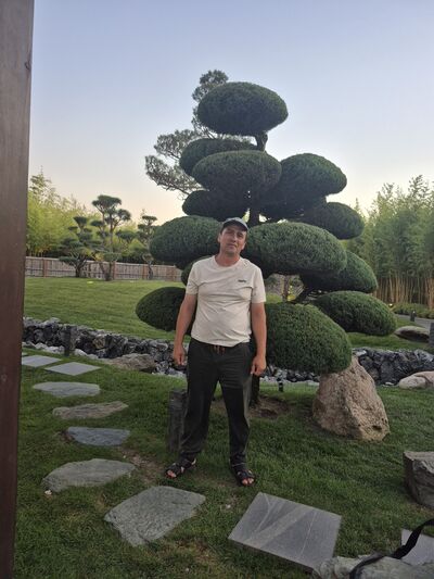  ,   , 44 ,   ,   