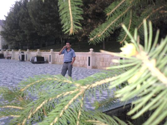  ,   MAQA, 36 ,   