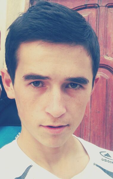  ,   Bakka, 29 ,     , c 