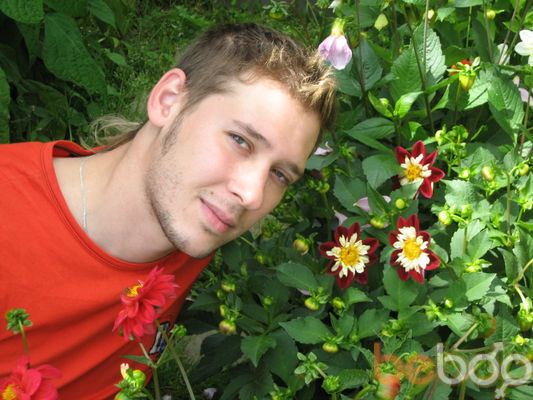 ���������� �����, ���� ������� ����, 41 ���, ������������ ��� ������, ����� � ���������, c�������� ���������