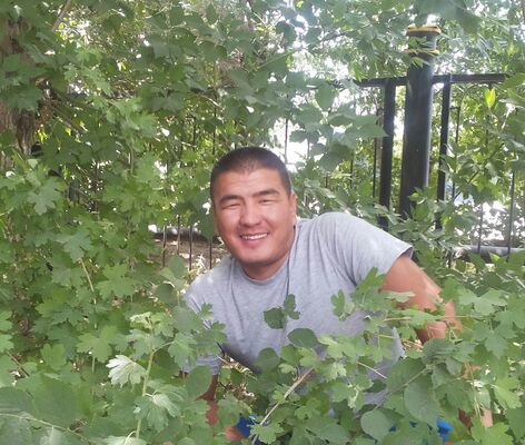  ,   Erbol, 41 ,   