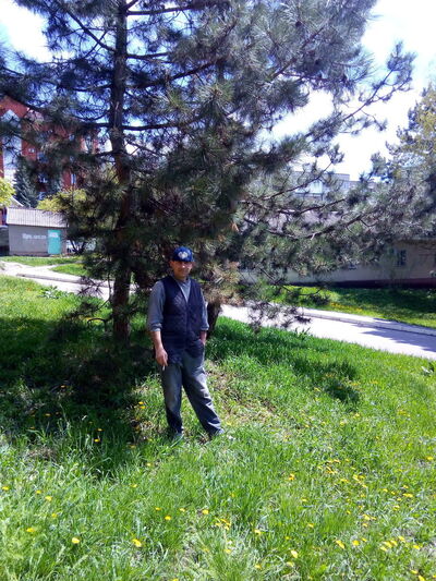  ,   , 54 ,   