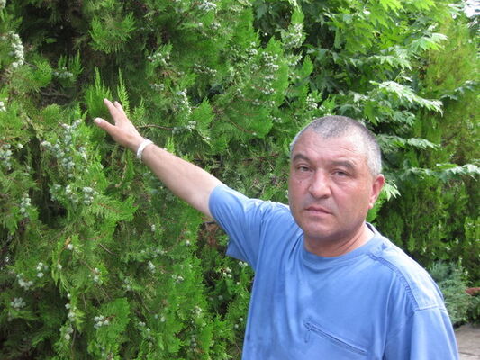  ,   Ilash 62, 62 ,   