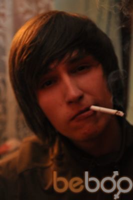  3632637  , 32 ,    -