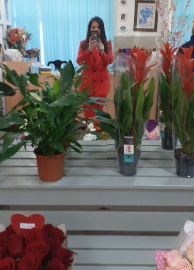  ,   , 45 ,   ,   