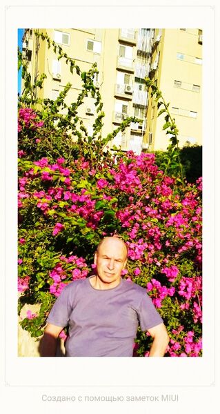  Ashqelon,   , 66 ,     , c 