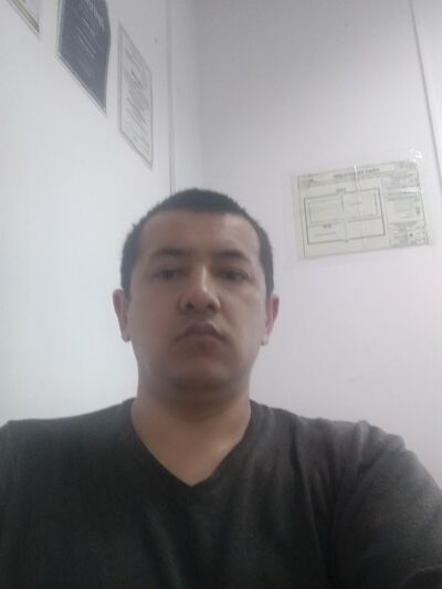  ,   Shurik, 41 ,   ,   , c , 