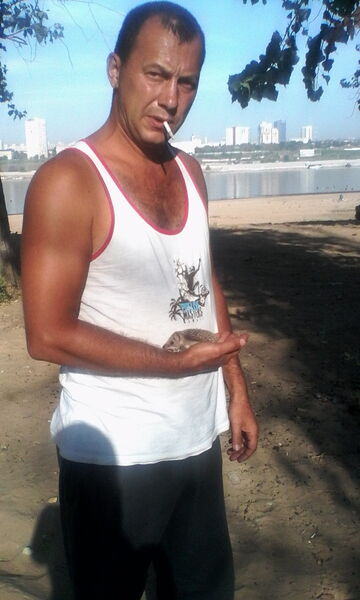  --,   , 44 ,   ,   , c 