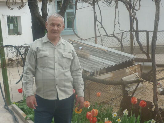  ,   , 71 ,   ,   , c , 