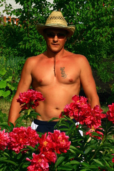  ,   , 55 ,  