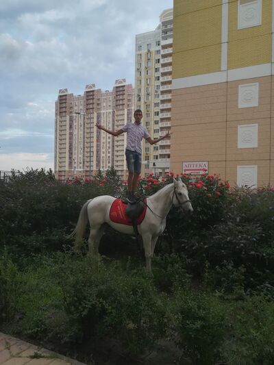  --,   Neznakomec, 31 ,   ,   