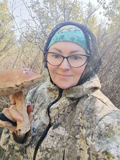  ,   , 43 ,   ,   