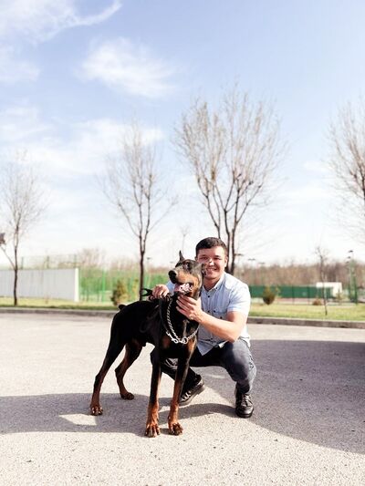  ,   Arman, 33 ,     , c 