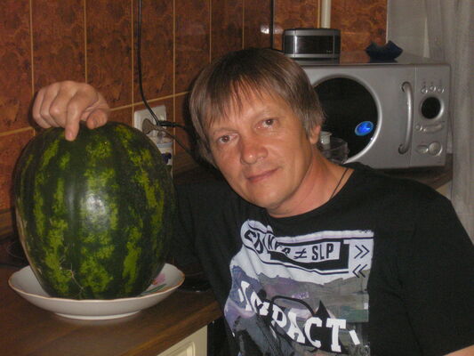  ,   Slava, 50 ,   