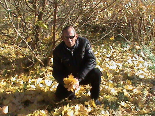  ,   , 54 ,   
