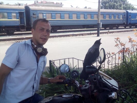   ,   C, 34 ,  