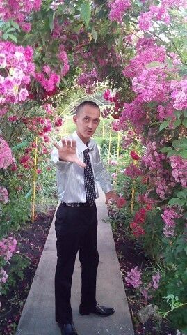  ,    , 34 ,   