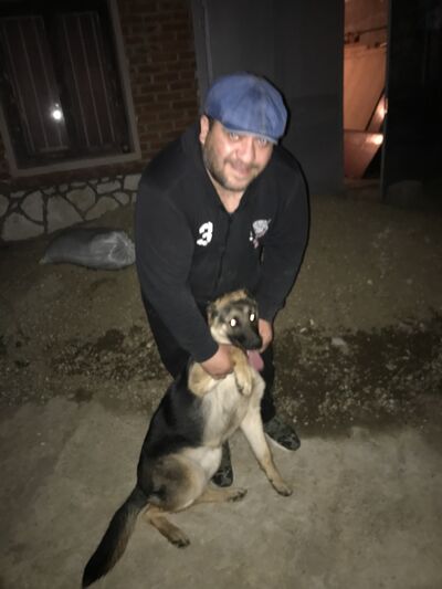  Marki,   , 39 ,   ,   