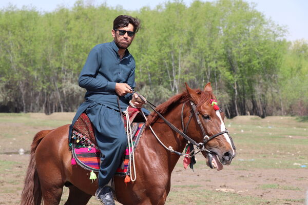  ,   Ahmad, 33 ,   ,   , c 