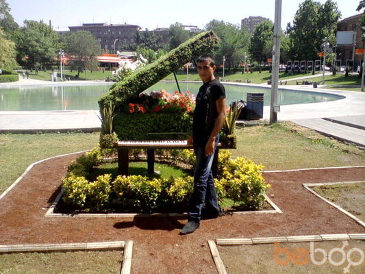  ,   HOVO, 43 ,   ,   , c 