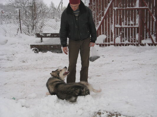  -,   Anton, 50 ,   ,   , c 