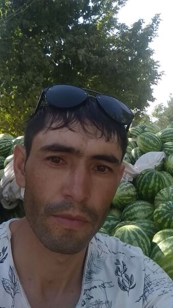  -,   , 37 ,   ,   