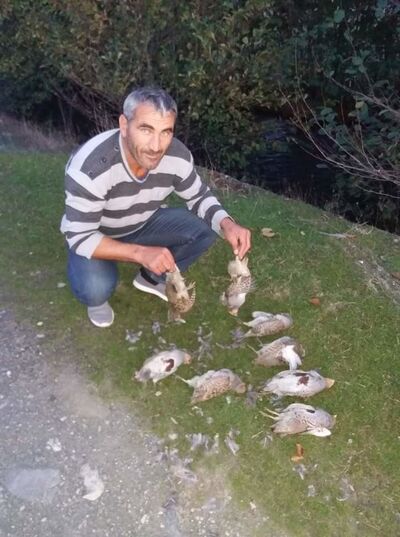  ,   Solomon, 50 ,   ,   , c 