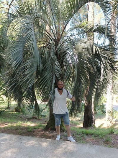  Palais-Bourbon,   , 31 ,   ,   