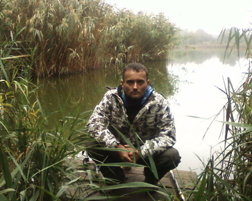  -,   , 53 ,   ,   , c 