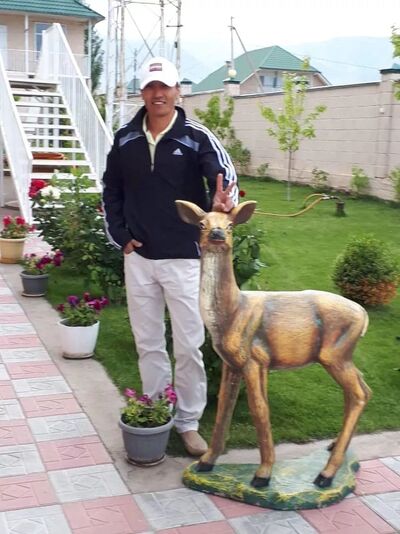  -,   , 37 ,   ,   , c 