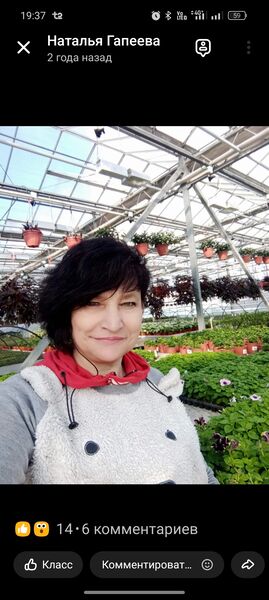 ,   , 53 ,   c 