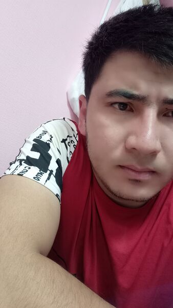 ,   YAKUDZA, 29 ,   ,   